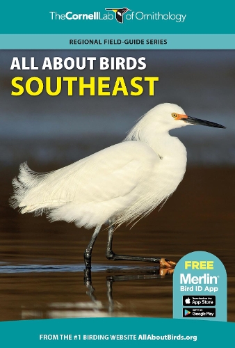 Бумажная книга «All About Birds Southeast», автор Корнельская лаборатория орнитологии - фото №1