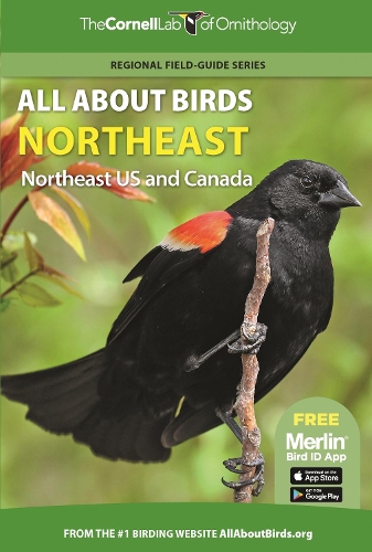 Бумажная книга «All About Birds Northeast: Northeast US and Canada», автор Корнельская лаборатория орнитологии - фото №1