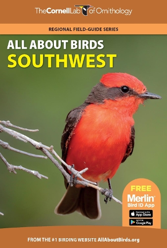 Бумажная книга «All About Birds Southwest», автор Корнельская лаборатория орнитологии - фото №1