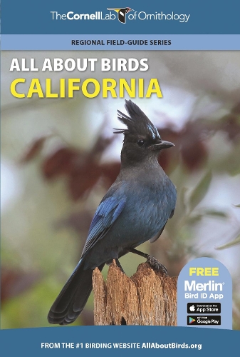 Бумажная книга «All About Birds California», автор Корнельская лаборатория орнитологии - фото №1