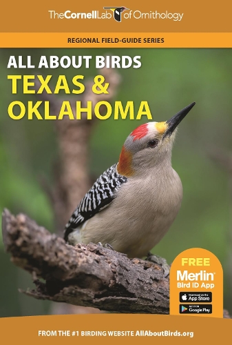 Бумажная книга «All About Birds Texas and Oklahoma», автор Корнельская лаборатория орнитологии - фото №1