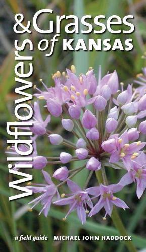 Паперова книга «Wildflowers and Grasses of Kansas: A Field Guide», автор Майкл Джон Хеддок - фото №1