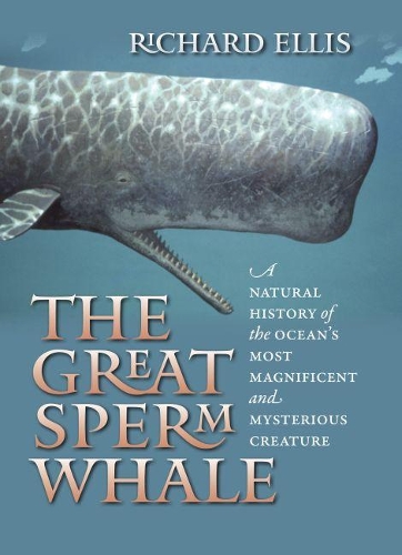 Бумажная книга «The Great Sperm Whale: A Natural History of the Ocean's Most Magnificent and Mysterious Creature», автор Ричард Эллис - фото №1