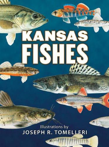Бумажная книга «Kansas Fishes», автор Канзасский комитет рыбного хозяйства - фото №1