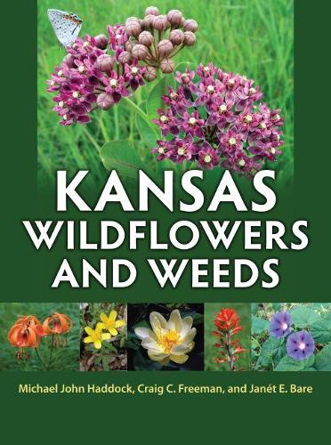 Паперова книга «Kansas Wildflowers and Weeds», авторів Крейг К. Фріман, Джанет Е. Бейр, Майкл Джон Хеддок - фото №1