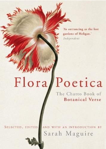 Бумажная книга «Flora Poetica» - фото №1