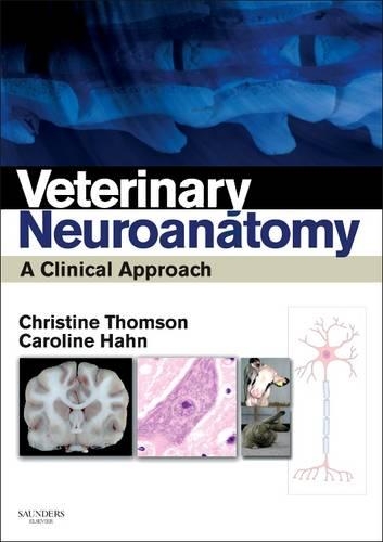 Паперова книга «Veterinary Neuroanatomy: A Clinical Approach», авторів Кароліна Хан, Крістін Е Томсон - фото №1