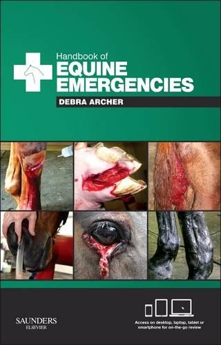 Паперова книга «Handbook of Equine Emergencies», автор Дебра Кетрін Арчер - фото №1
