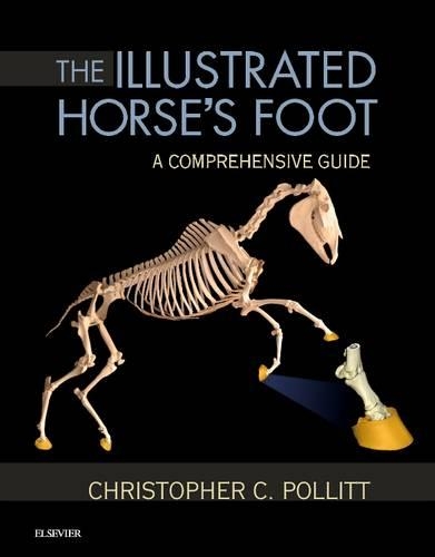 Бумажная книга «The Illustrated Horse's Foot: A comprehensive guide», автор Кристофер К. Поллитт - фото №1
