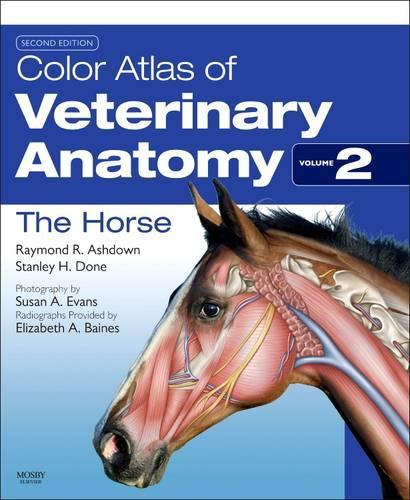 Бумажная книга «Color Atlas of Veterinary Anatomy, Volume 2, The Horse», авторов Раймонд Р. Эшдаун, Стэнли Х. Доун - фото №1