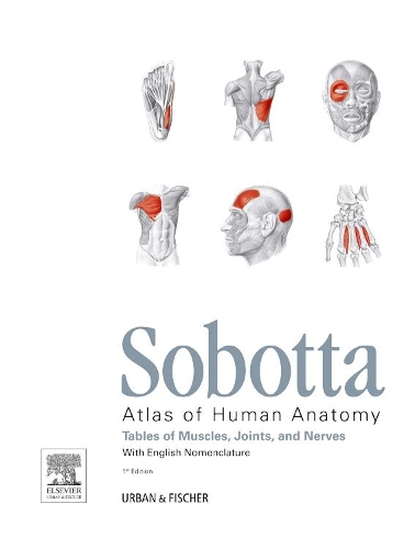 Бумажная книга «Sobotta Tables of Muscles, Joints and Nerves, English: Tables to 15th ed. of the Sobotta Atlas», авторов Фридрих Паульсен, Йенс Вашке - фото №1