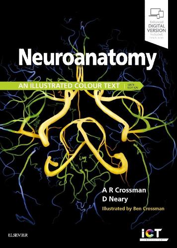 Бумажная книга «Neuroanatomy: an Illustrated Colour Text», авторов Алан Р. Кроссман, Дэвид Нири - фото №1