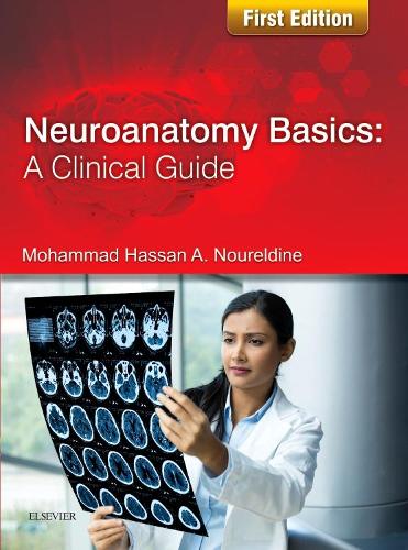 Паперова книга «Neuroanatomy Basics: A Clinical Guide», автор Мохаммад Нурелдін - фото №1