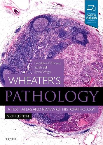 Паперова книга «Wheater's Pathology: A Text, Atlas and Review of Histopathology», авторів Джеральдін О'Дауд, Сара Белл, Сільвія Райт - фото №1