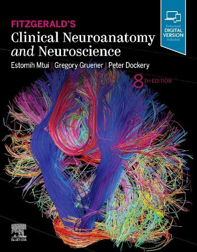 Паперова книга «Fitzgerald's Clinical Neuroanatomy and Neuroscience», авторів Естоміх Мтуї, Грегорі Грюнер, Пітер Докері - фото №1