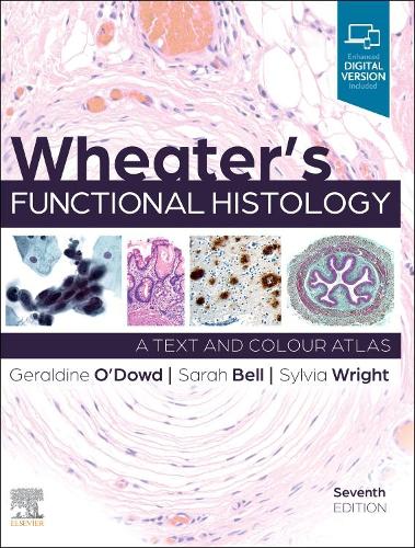 Бумажная книга «Wheater's Functional Histology», авторов Джеральдин О'Дауд, Сара Белл, Сильвия Райт - фото №1
