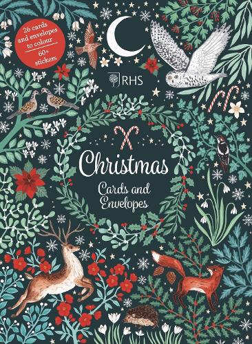 Паперова книга «Christmas Cards and Envelopes» - фото №1