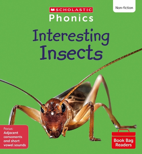 [object Object] «Interesting Insects (Set 7) Matched to Little Wandle Letters and Sounds Revised», автор Сюзи Дитчберн - фото №1