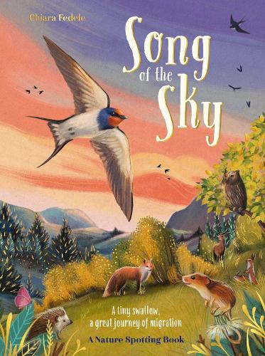 Бумажная книга «Song of the Sky», автор Кьяра Феделе - фото №1