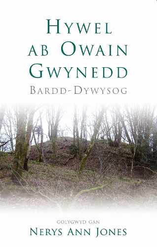 Бумажная книга «Hywel ab Owain Gwynedd: Bardd-Dywysog», автор Нерис Джонс - фото №1