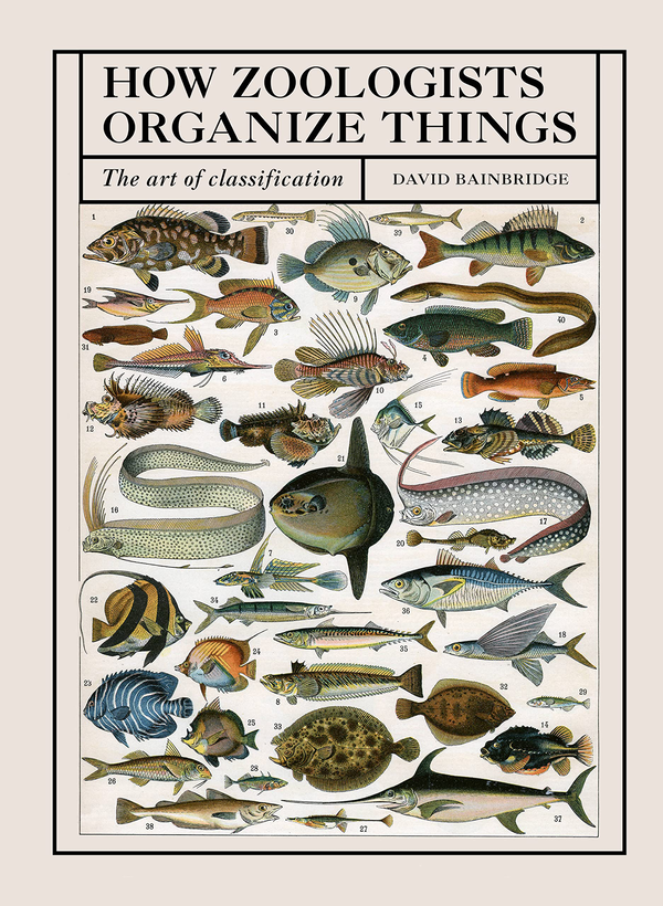Бумажная книга «How Zoologists Organize Things. The Art of Classification», автор Дэвид Бейнбридж - фото №1