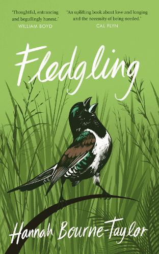 Паперова книга «Fledgling», автор Ханна Борн-Тейлор - фото №1