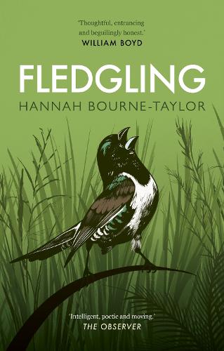 Паперова книга «Fledgling», автор Ханна Борн-Тейлор - фото №1