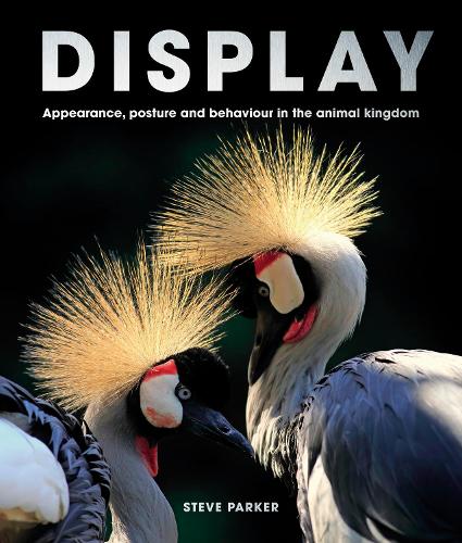 Паперова книга «Display: Appearance, posture and behaviour in the animal kingdom», автор Стів Паркер - фото №1