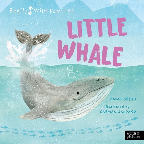 Бумажная книга «Little Whale: A Day in the Life of a Whale Calf» - фото №1