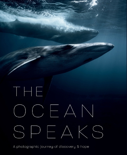 Паперова книга «The Ocean Speaks: A photographic journey of discovery and hope», авторів Метт Портеус, Тамсін Рейн - фото №1