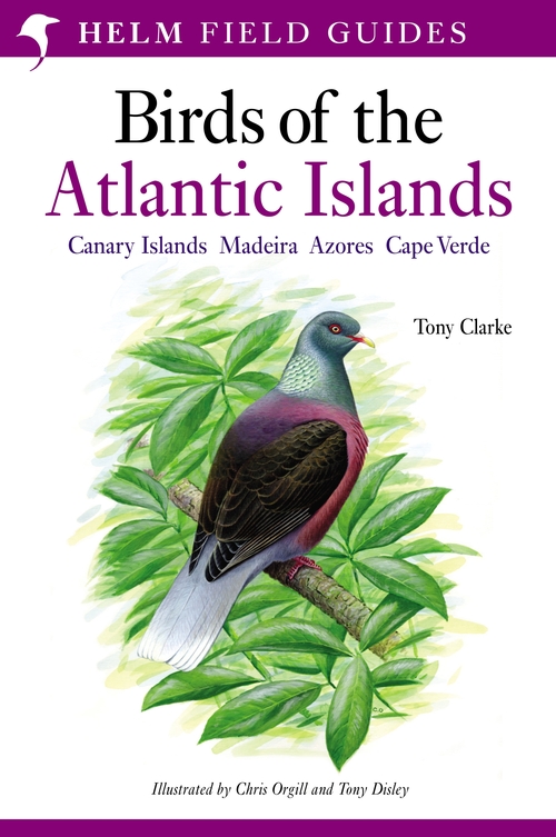 Бумажная книга «A Field Guide to the Birds of the Atlantic Islands: Canary Islands, Madeira, Azores, Cape Verde», автор Тони Кларк - фото №1