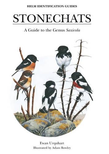 Паперова книга «Stonechats» - фото №1