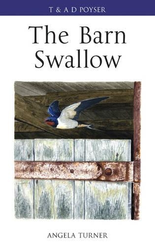 Бумажная книга «The Barn Swallow» - фото №1
