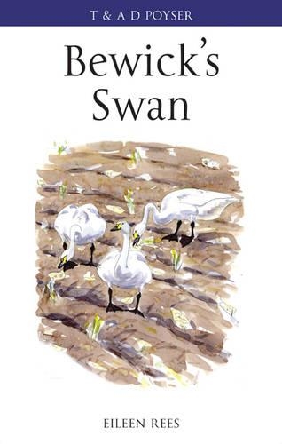 Бумажная книга «Bewick's Swan» - фото №1