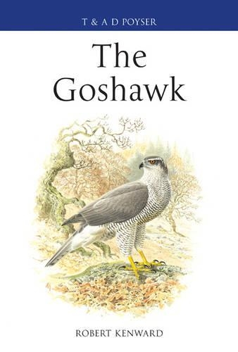 Бумажная книга «The Goshawk» - фото №1