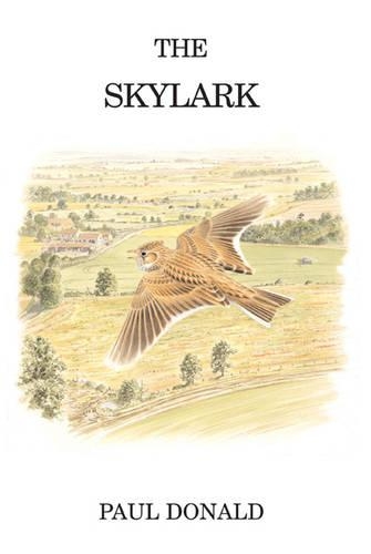 Бумажная книга «The Skylark» - фото №1