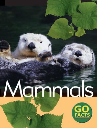 Паперова книга «Mammals», авторів Кеті Пайк, Пол МакЕвой - фото №1