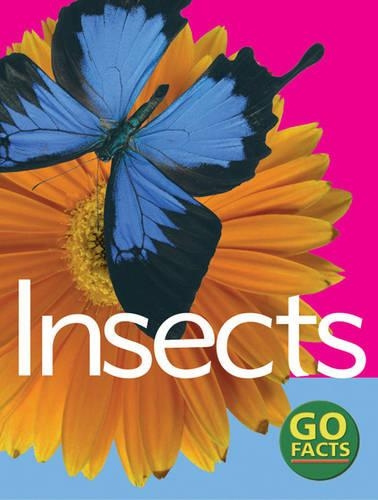 Бумажная книга «Insects», автор Кэти Пайк - фото №1