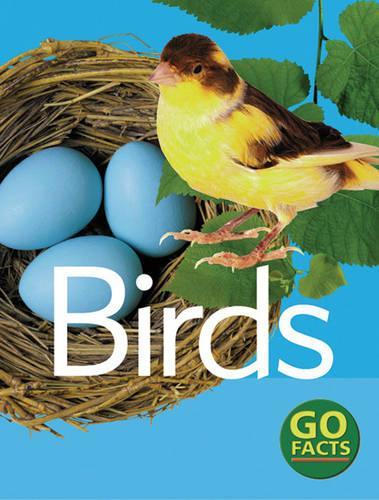 Бумажная книга «Birds», автор Пол МакЭвой - фото №1