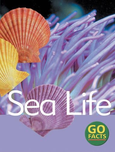 [object Object] «Sea Life», авторів Гарда Тернер, Кеті Пайк, Морін О'Кіф - фото №1
