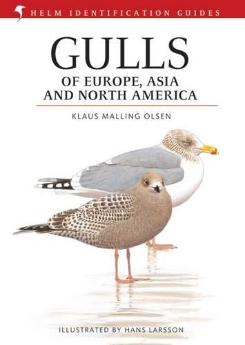 Бумажная книга «Gulls of Europe, Asia and North America», автор Клаус Моллинг Олсен - фото №1