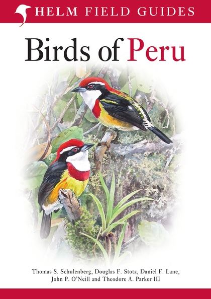 Бумажная книга «Birds of Peru», авторов Томас С. Шуленберг, Джон П. О'Нилл, Дэниел Ф. Лейн, Теодор А. Паркер III - фото №1