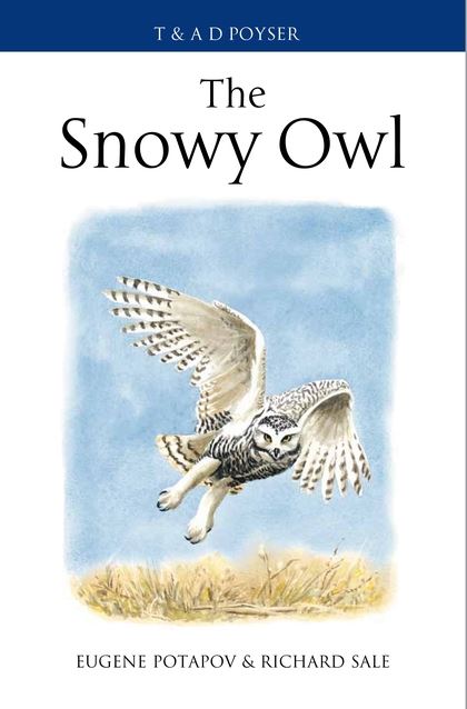 Бумажная книга «The Snowy Owl» - фото №1