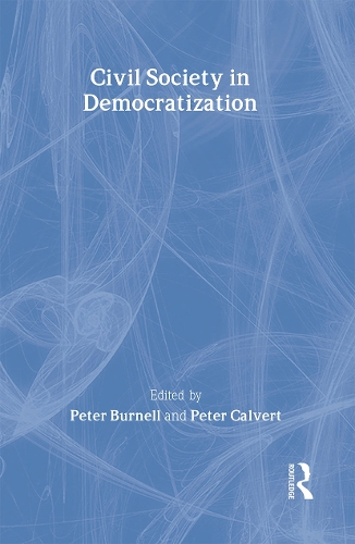 Бумажная книга «Civil Society in Democratization» - фото №1