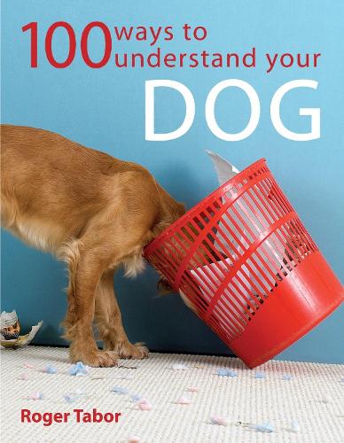 Бумажная книга «100 Ways to Understand Your Dog», автор Роджер Табор - фото №1