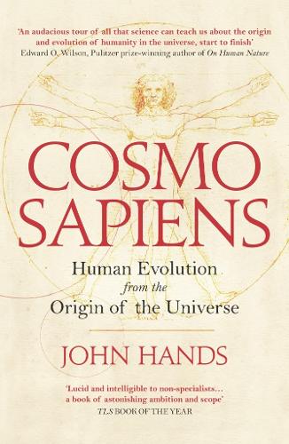 Бумажная книга «Cosmosapiens: Human Evolution from the Origin of the Universe», автор Джон Хендс - фото №1