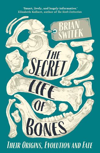 Бумажная книга «The Secret Life of Bones: Their Origins, Evolution and Fate», автор Брайан Свитек - фото №1