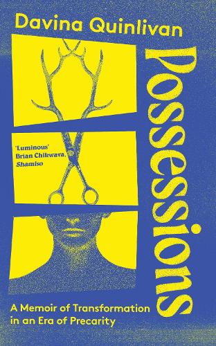 Бумажная книга «Possessions: A Memoir of Transformation in an Era of Precarity», автор Давина Куинливан - фото №1