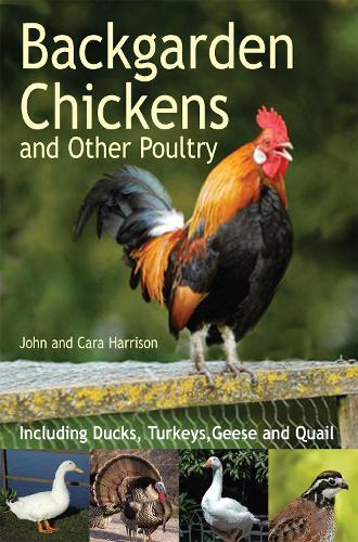 Бумажная книга «Backgarden Chickens and Other Poultry», автор Джон Харрисон - фото №1