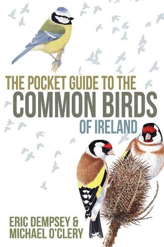 Паперова книга «The Pocket Guide to the Common Birds of Ireland», автор Ерік Демпсі - фото №1